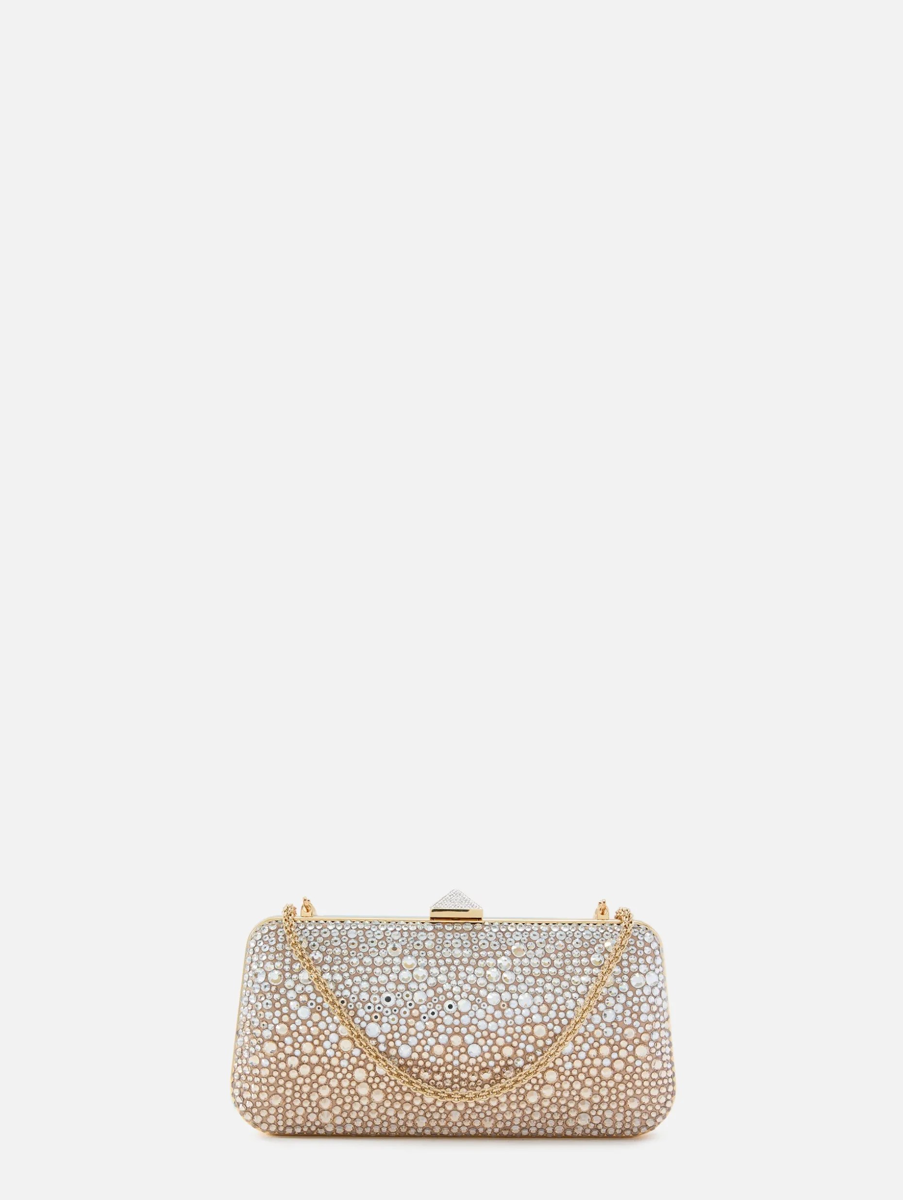 Carry Secrets Minaudiere
