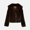 Daniel Coat
