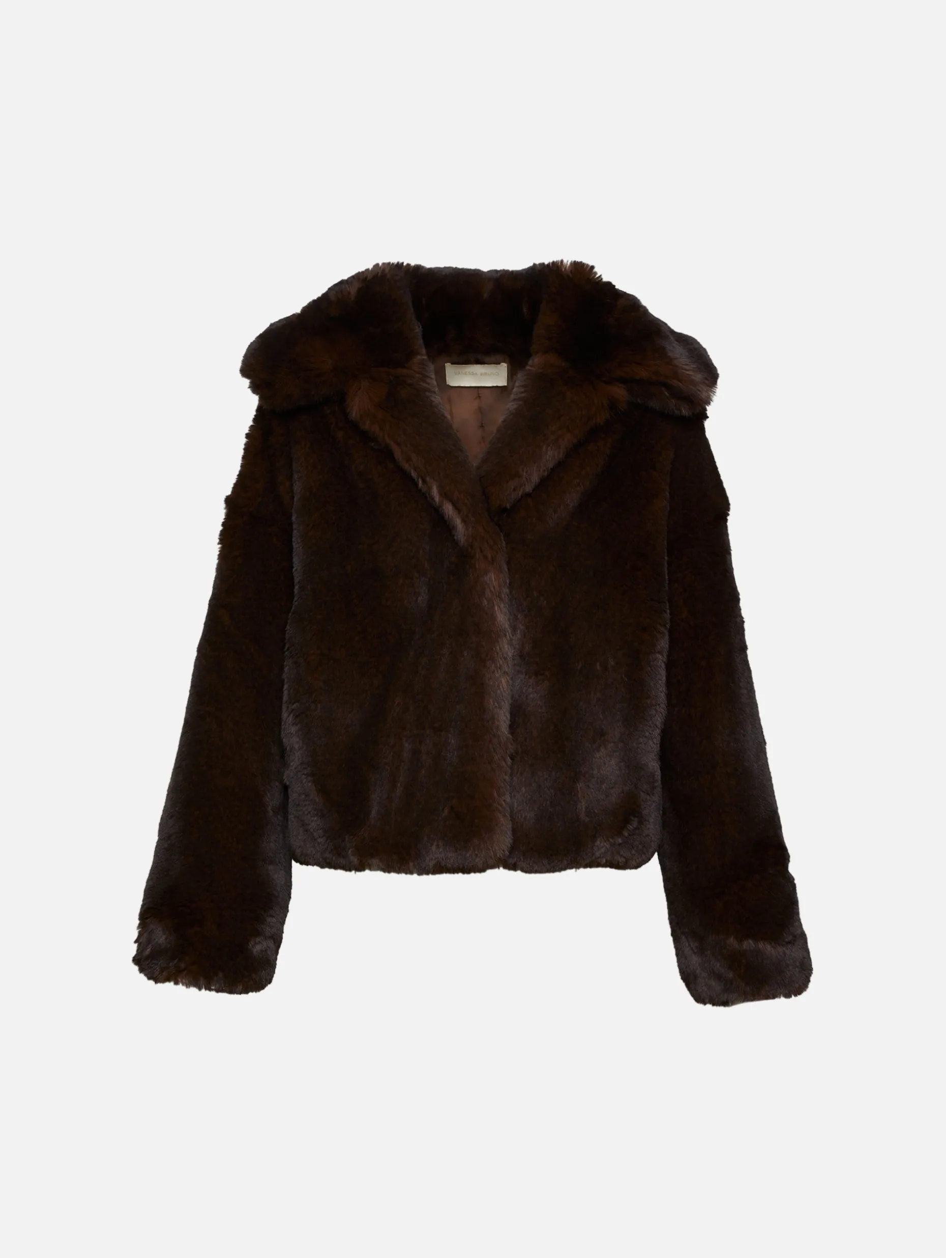 Daniel Coat