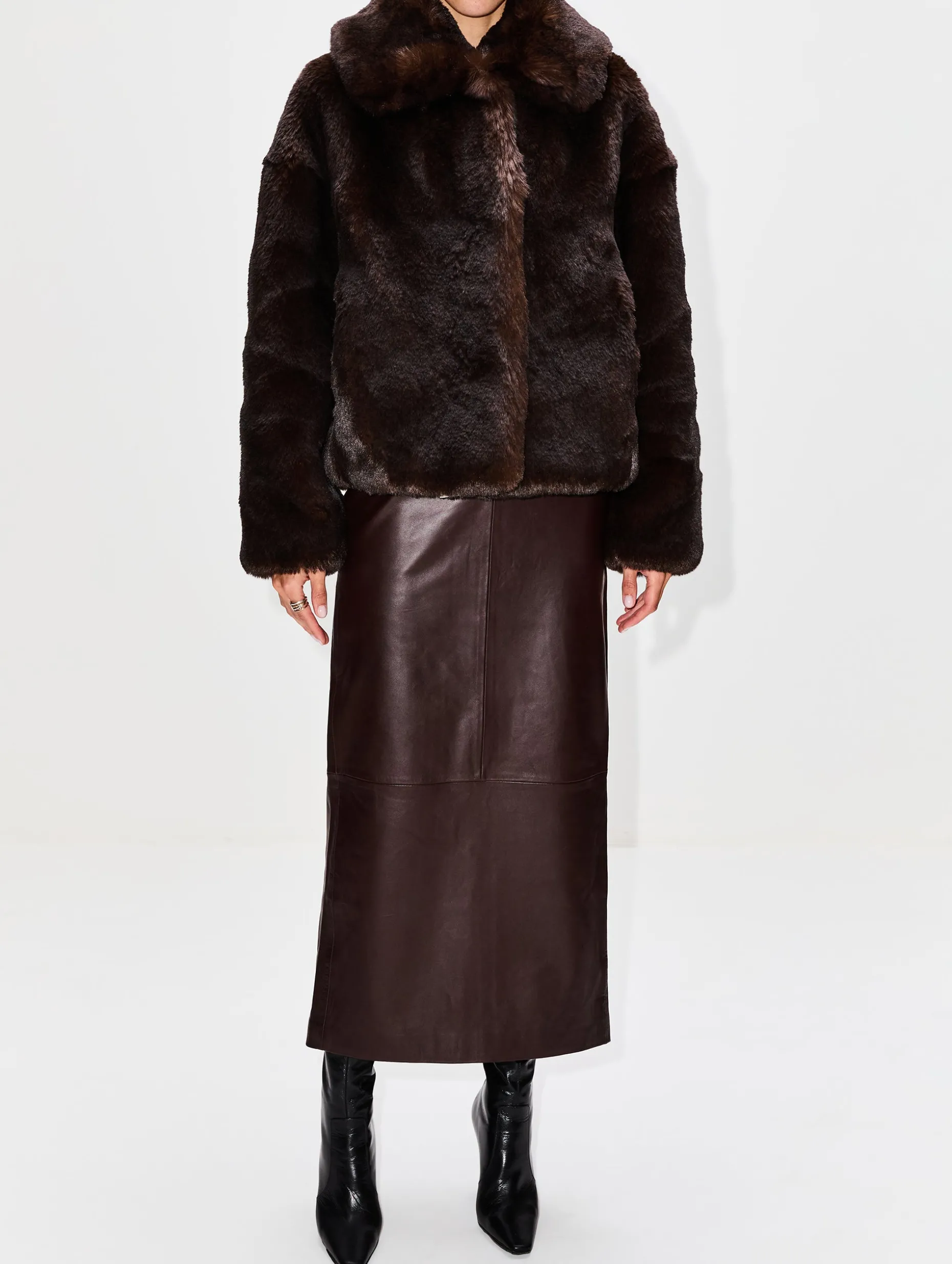 Daniel Coat