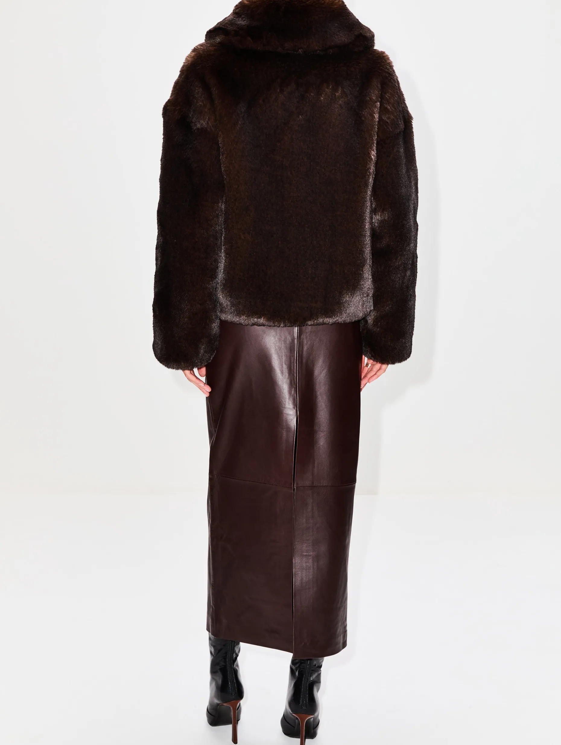 Daniel Coat