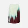 Degrade Petal Print Skirt