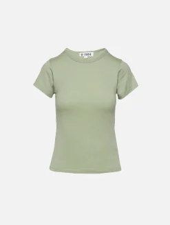 Fitted Crewneck Short Sleeve Tee