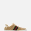 Gucci Ace Low Top Sneaker