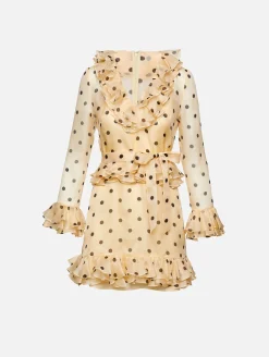 Polka Dot Organza Dress
