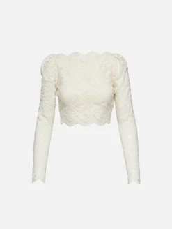 Stretch Lace Crop Top