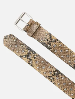 Studded Belt