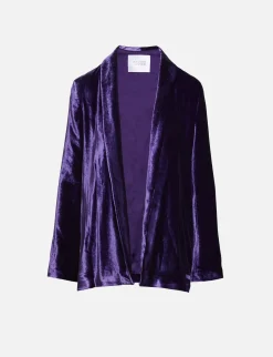 Velvet Julianne Blazer